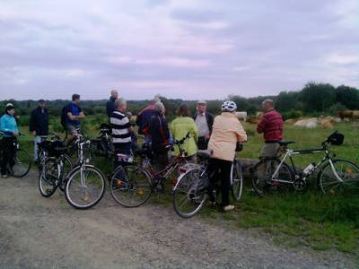 Unsere diesjhrige Radwanderung fhrte uns in die Wahner Heide.

Vom Heideportal in Gut Leidenhausen ging es unter fachkndiger Fhrung eines Heiderangers zum Infozentrum nach Altenrath.

Neben der Beschreibung von Flora und Fauna in der Wahner Heide standen Naturschutzaspekte sowie die Bewirtschaftung der Heide im Mittelpunkt der Fhrung. - Unsere diesjährige Radwanderung führte uns in die Wahner Heide.

Vom Heideportal in Gut Leidenhausen ging es unter fachkündiger Führung eines Heiderangers zum Infozentrum nach Altenrath.

Neben der Beschreibung von Flora und Fauna in der Wahner Heide standen Naturschutzaspekte sowie die Bewirtschaftung der Heide im Mittelpunkt der Führung.